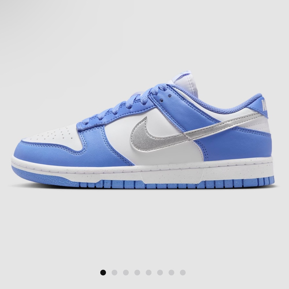 NEW Nike Dunk Low Next Nature